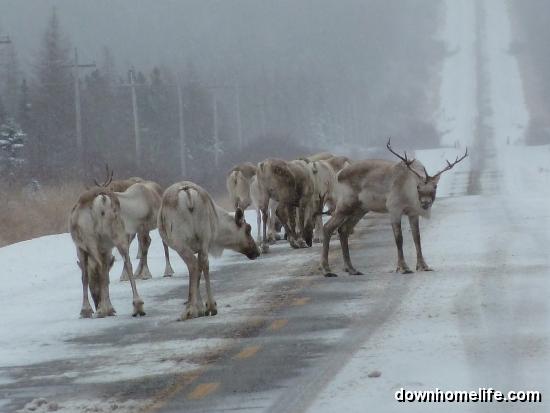 Main Gallery Display