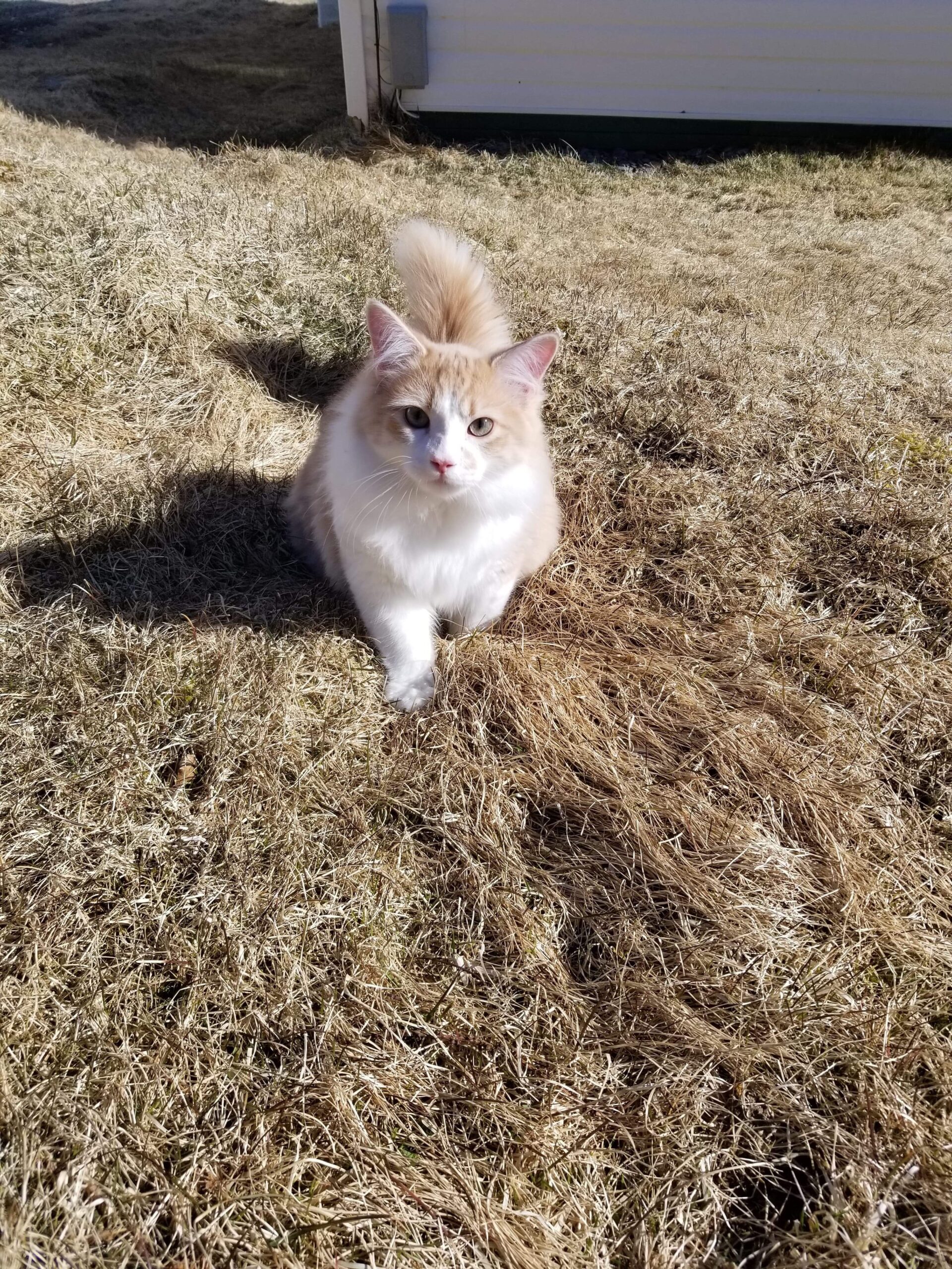 Main Gallery Display