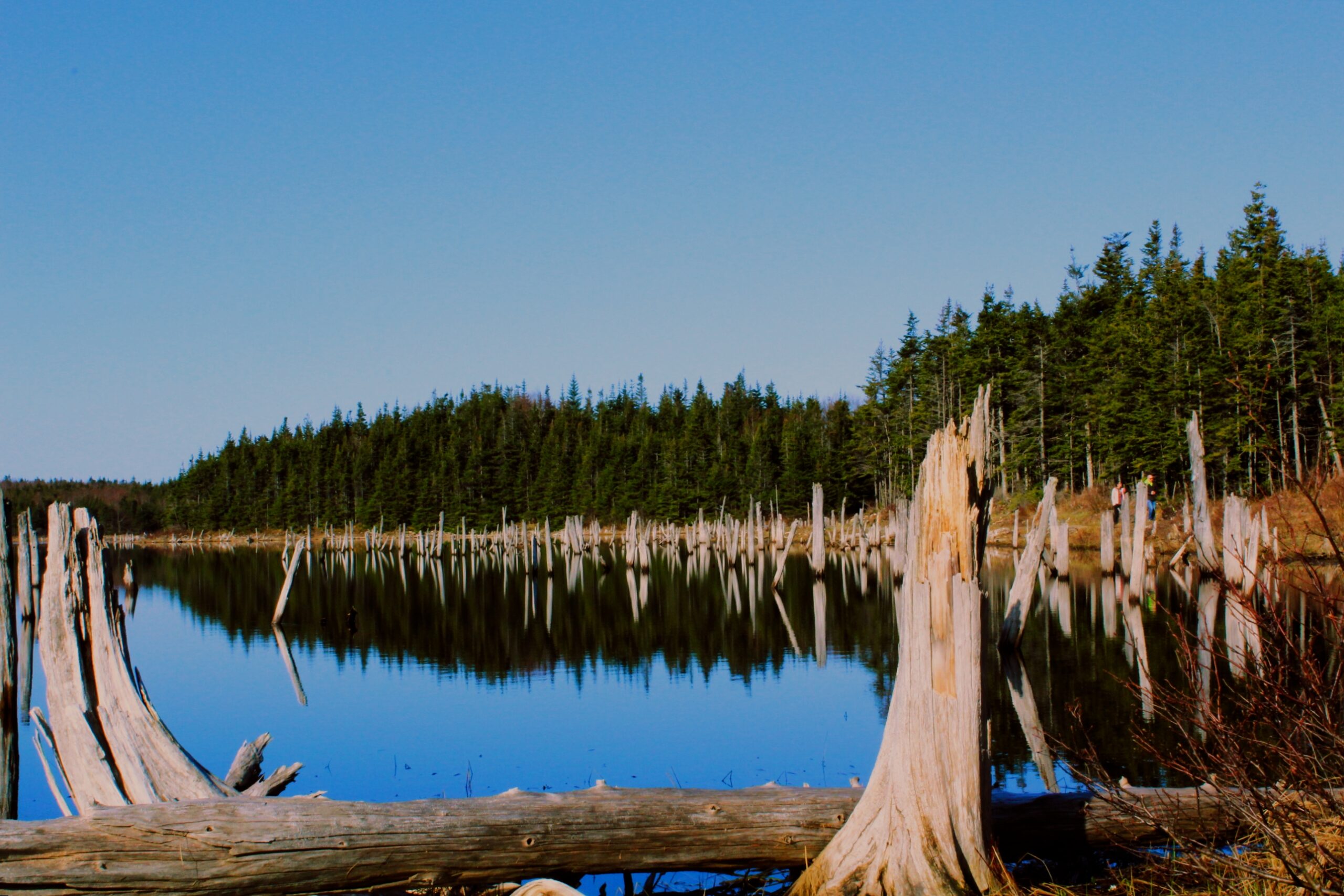 Main Gallery Display
