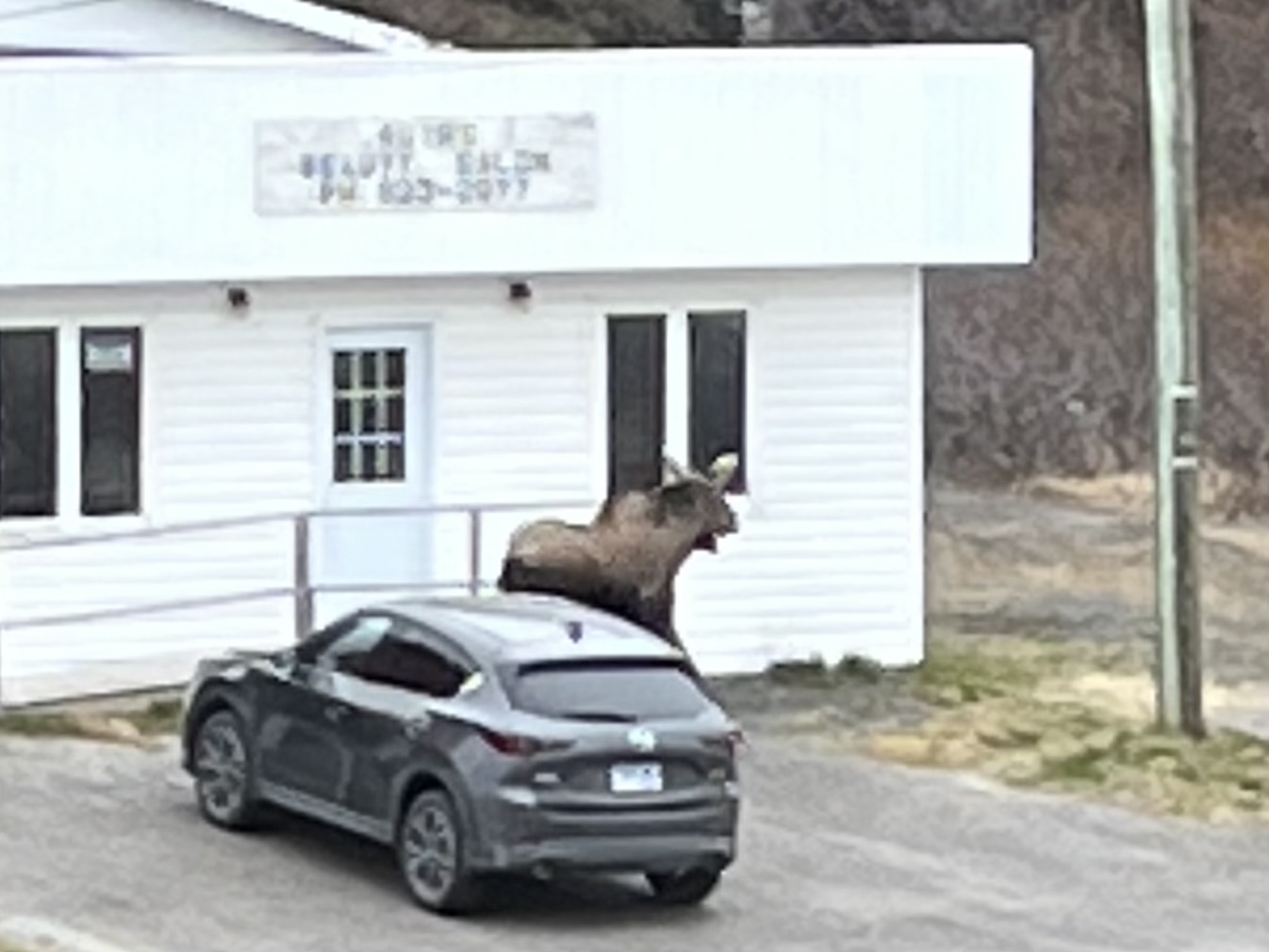 Main Gallery Display