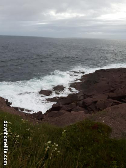 Main Gallery Display