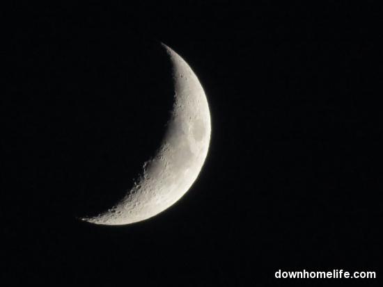 Main Gallery Display