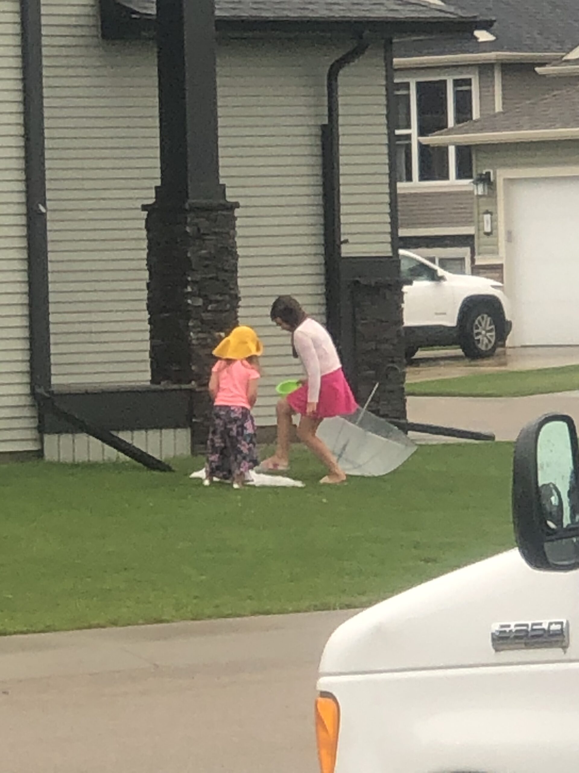 Main Gallery Display