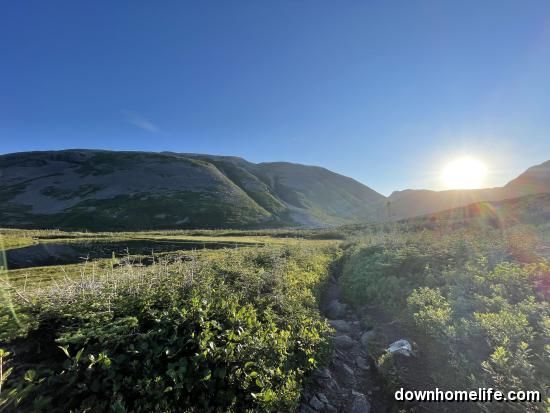 Main Gallery Display
