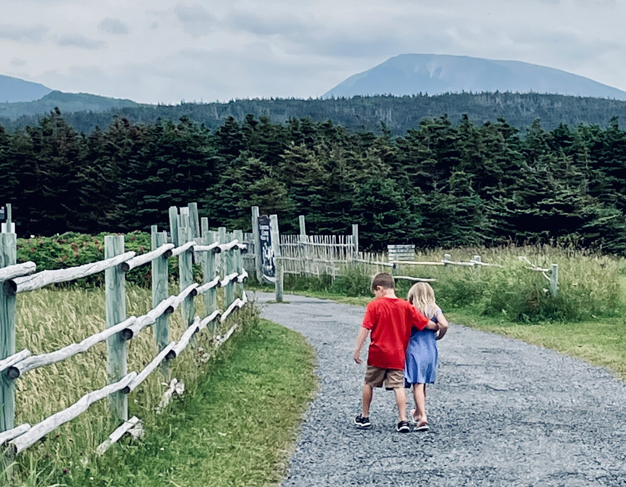 Main Gallery Display