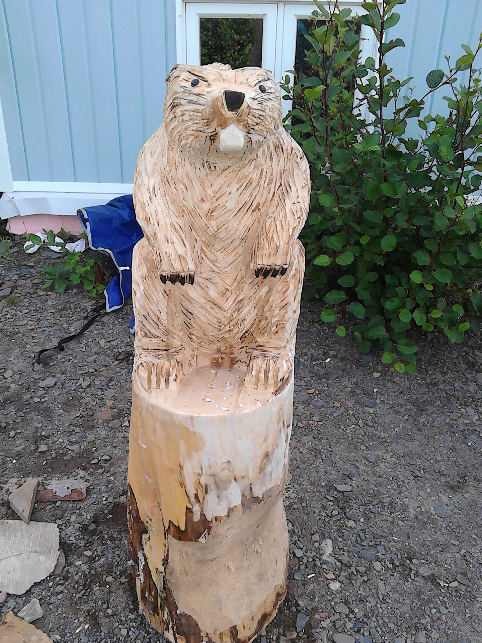 Main Gallery Display