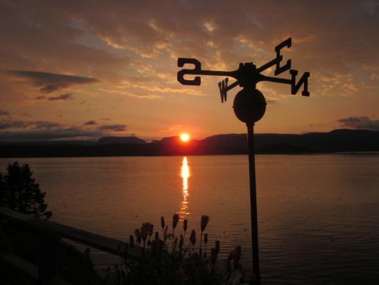 Main Gallery Display