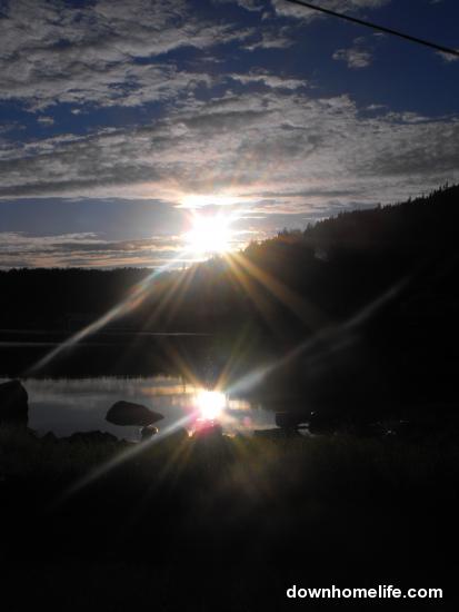 Main Gallery Display