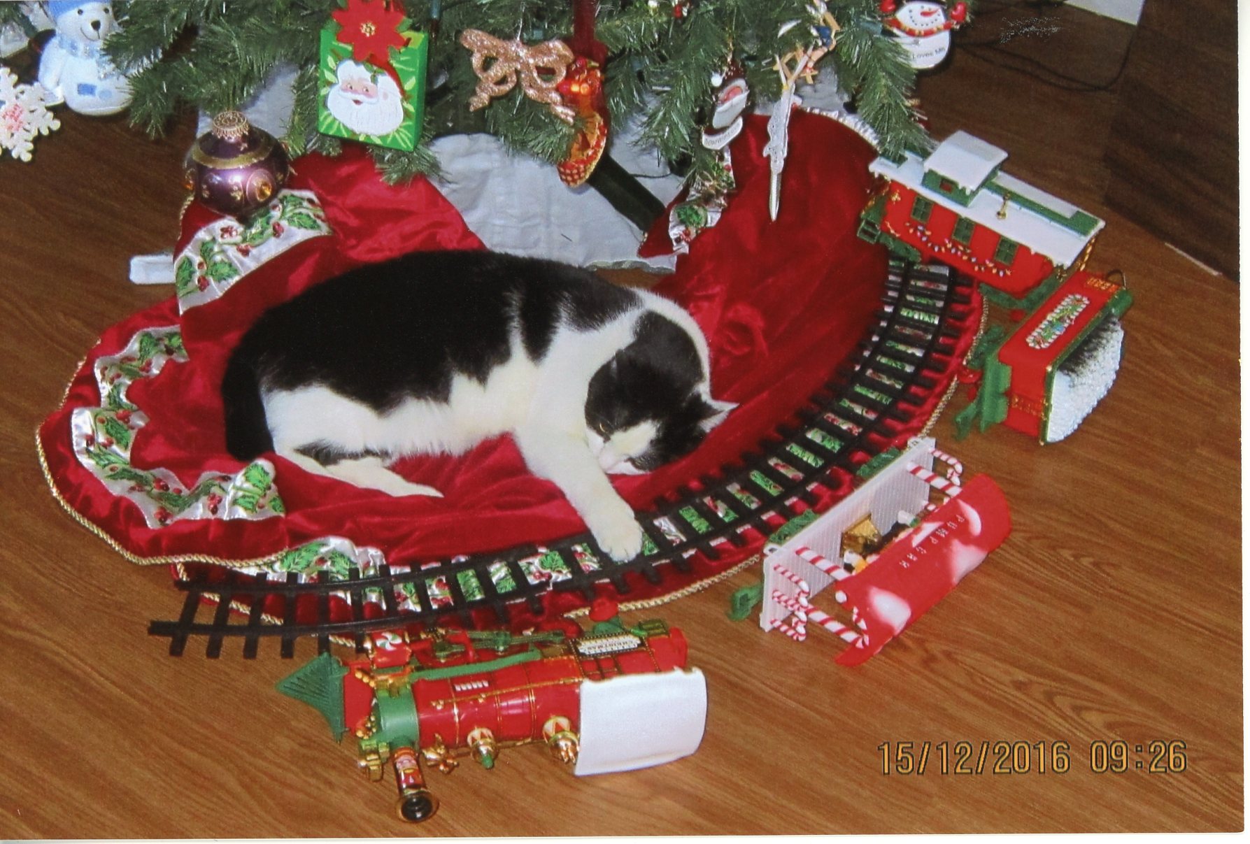 Main Gallery Display