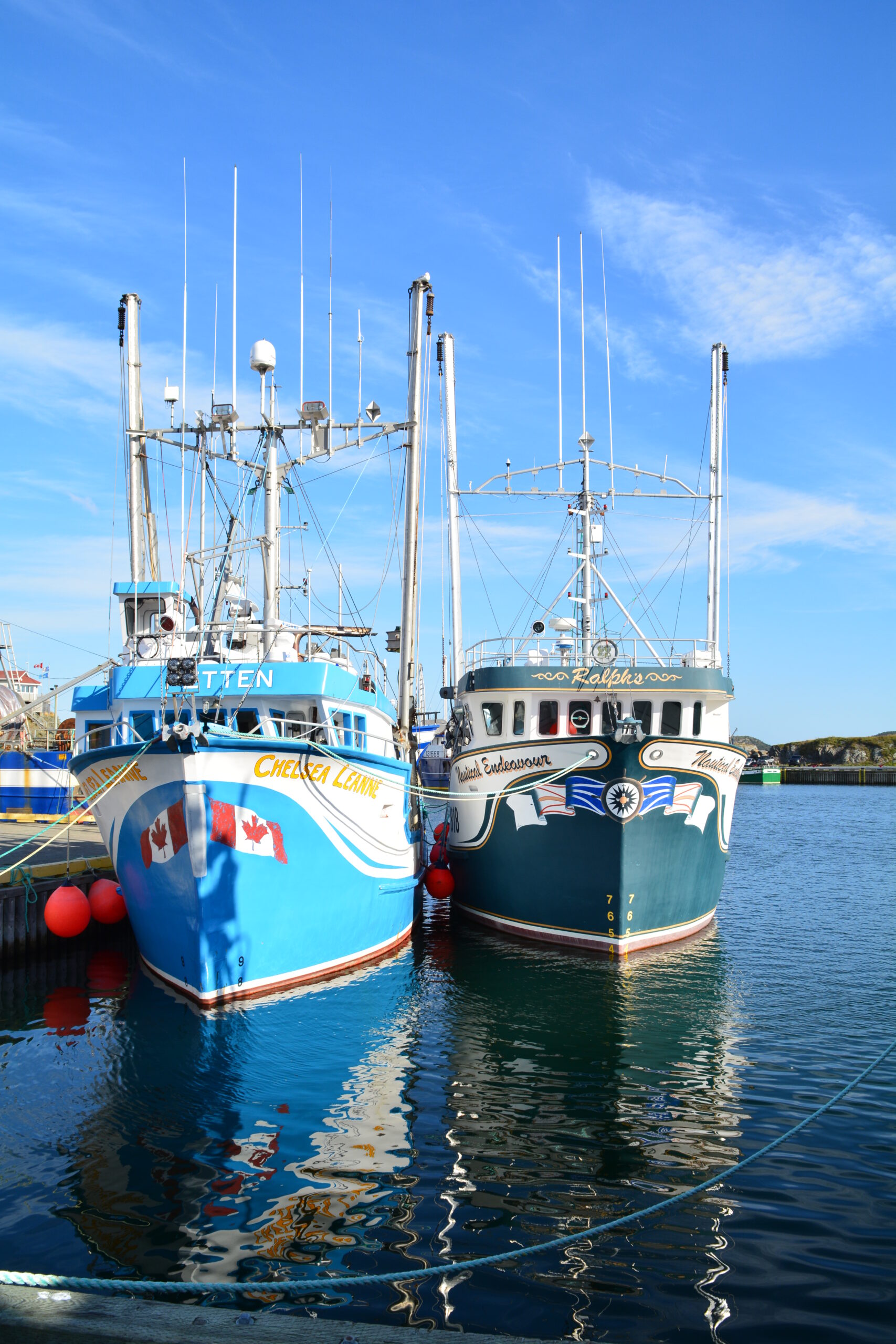 Main Gallery Display