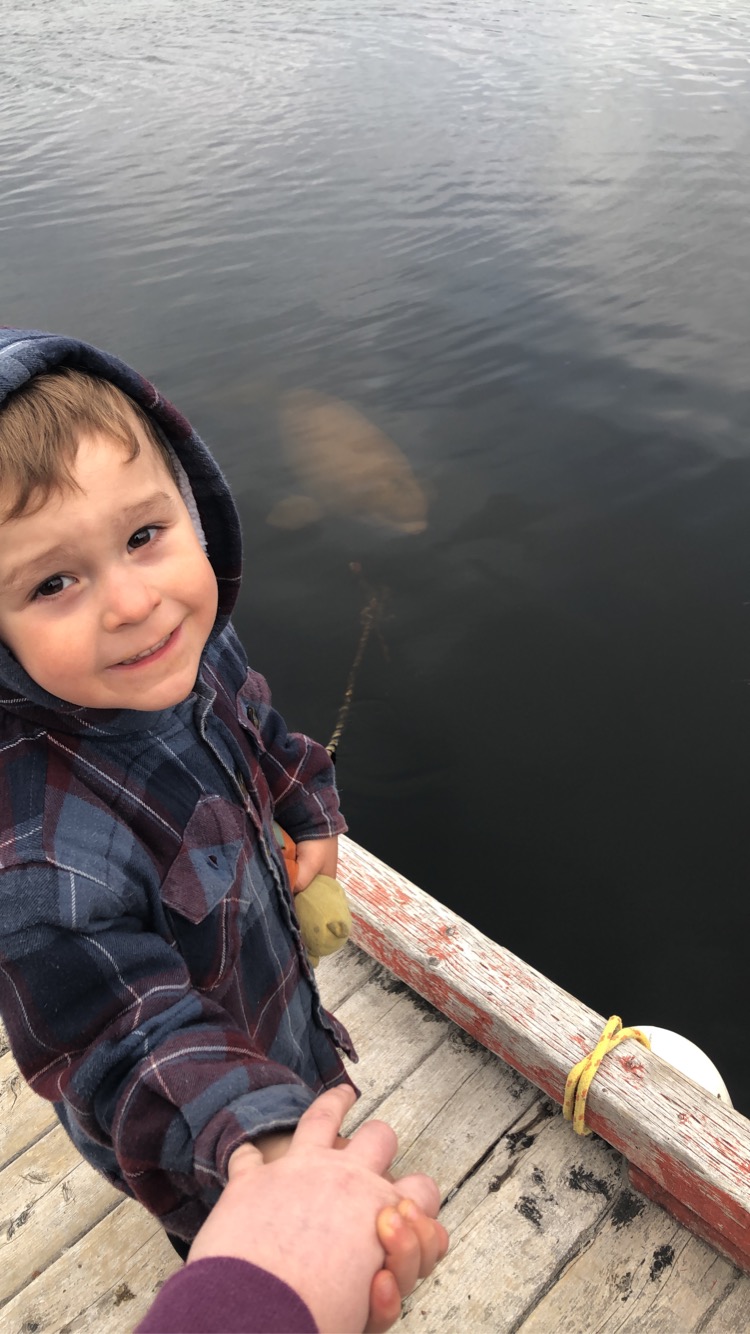 Main Gallery Display