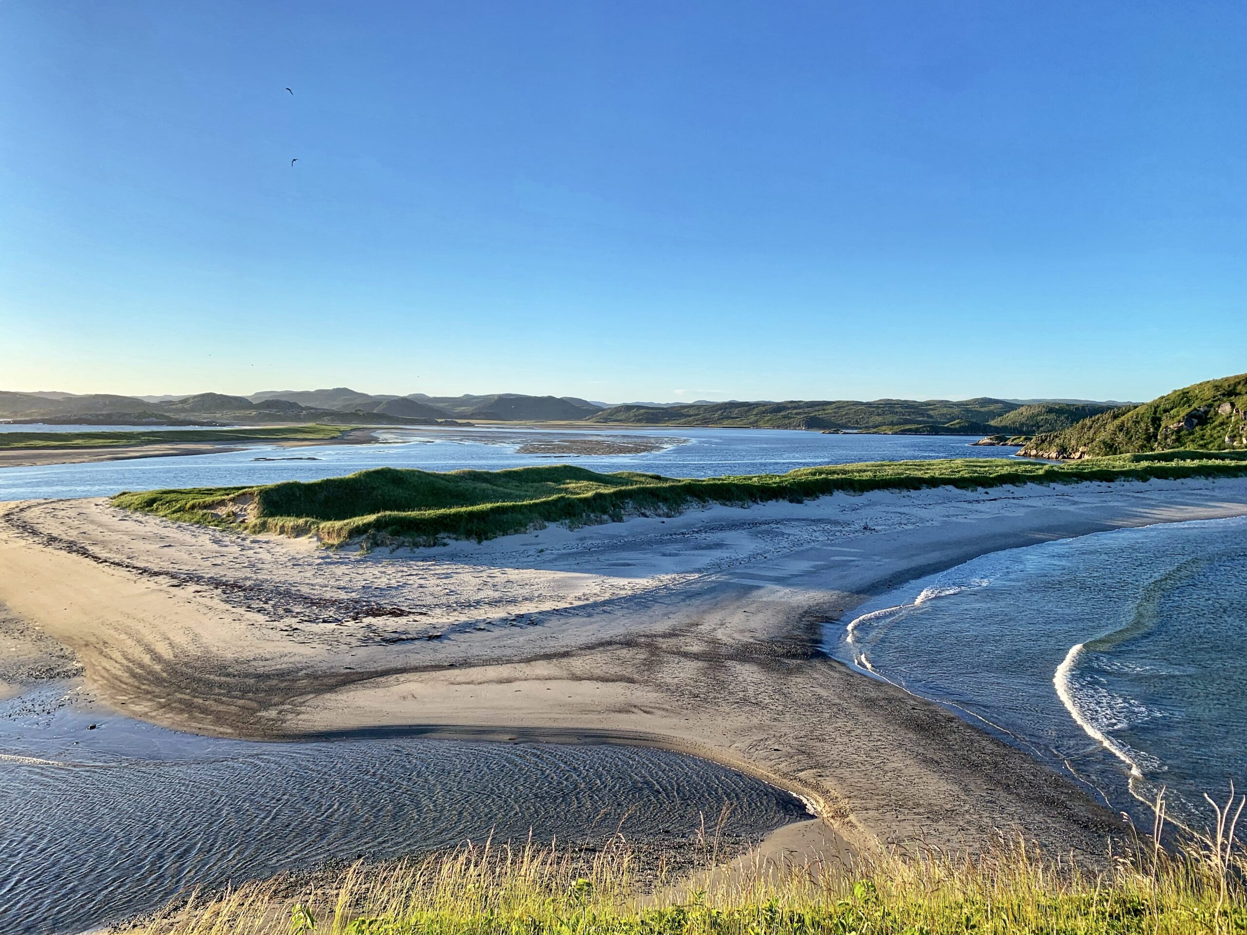 Main Gallery Display