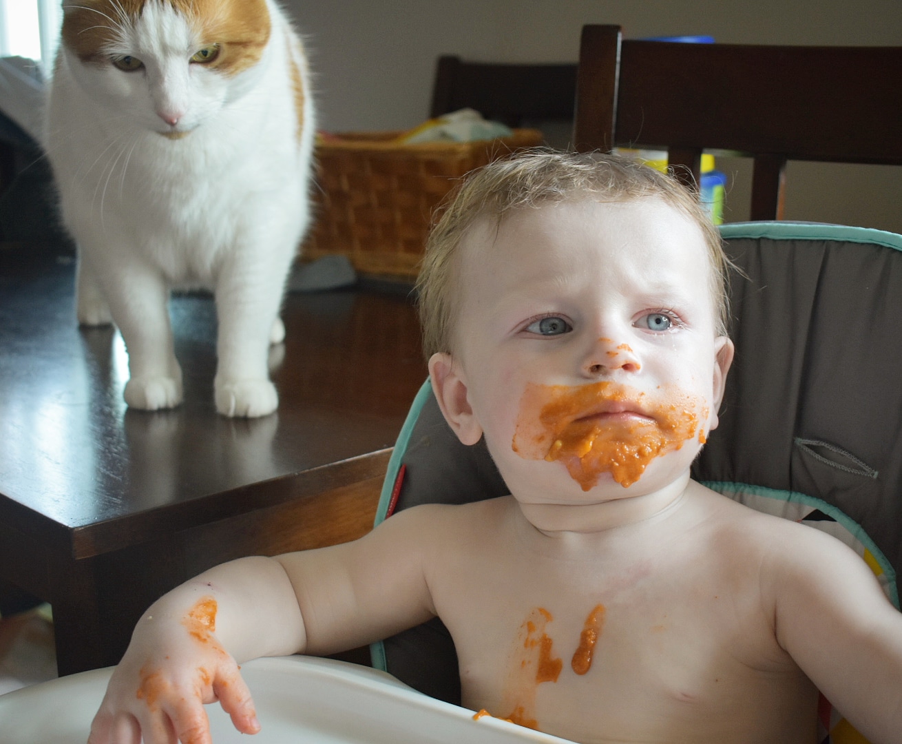Main Gallery Display