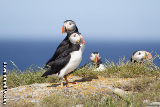 Main Gallery Display