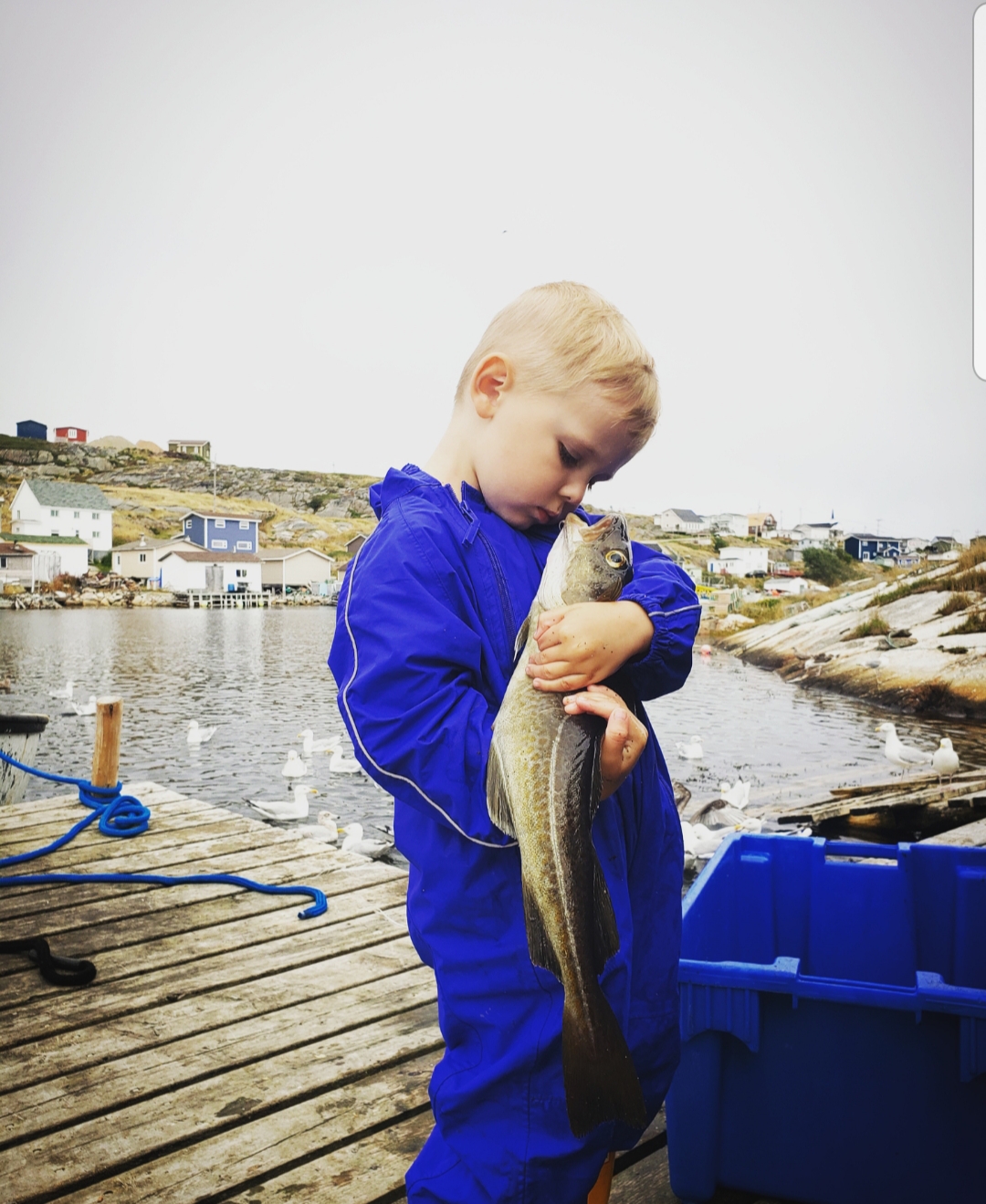 Main Gallery Display