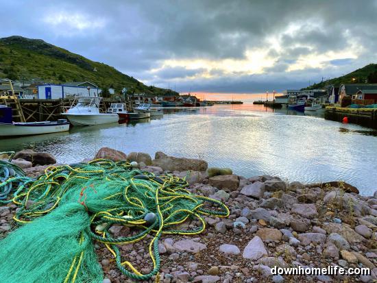 Main Gallery Display