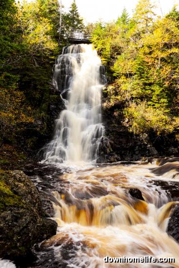 Main Gallery Display