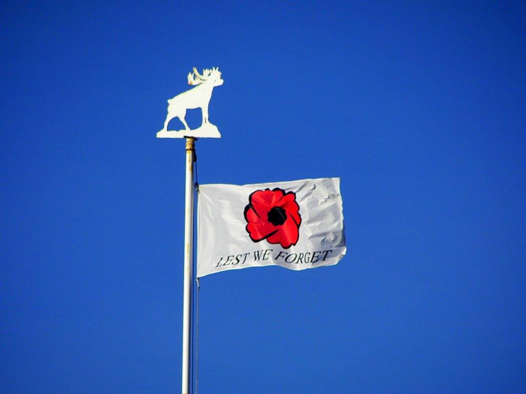 Main Gallery Display