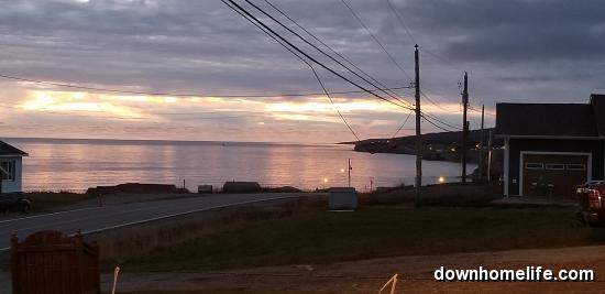 Main Gallery Display