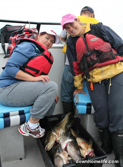 Main Gallery Display