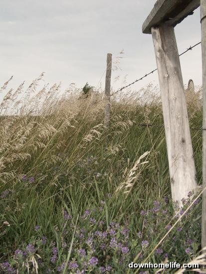 Main Gallery Display