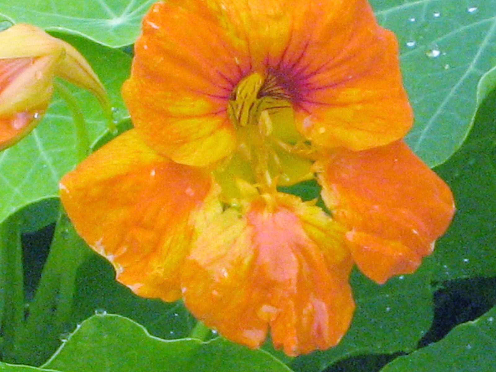 Main Gallery Display