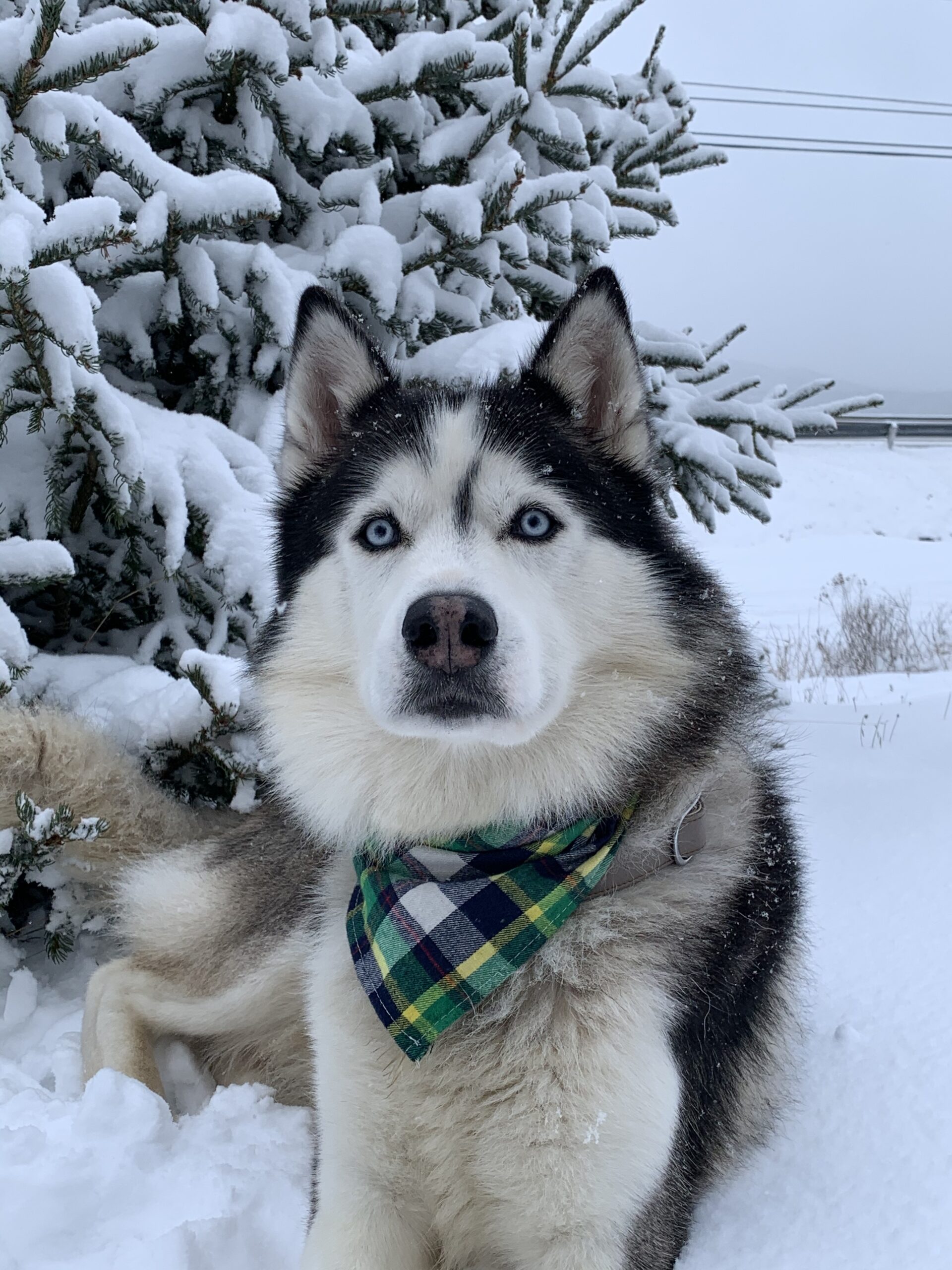 Main Gallery Display