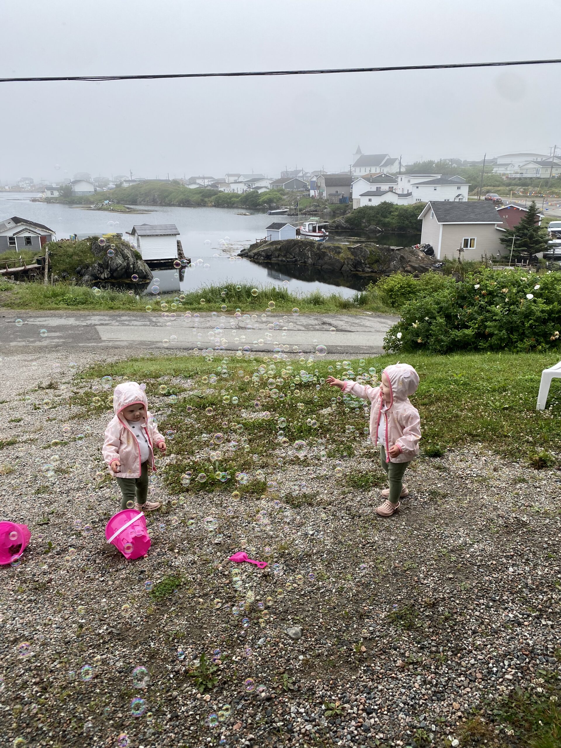 Main Gallery Display