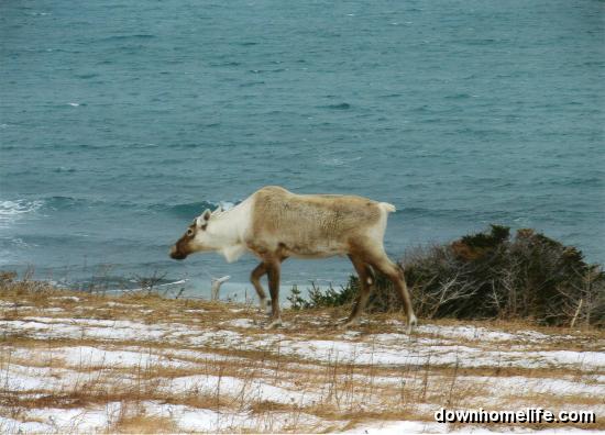 Main Gallery Display