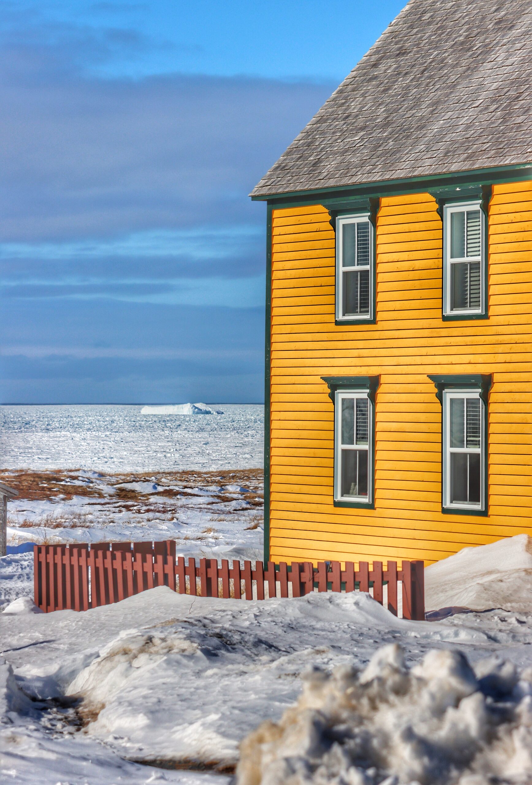 Main Gallery Display