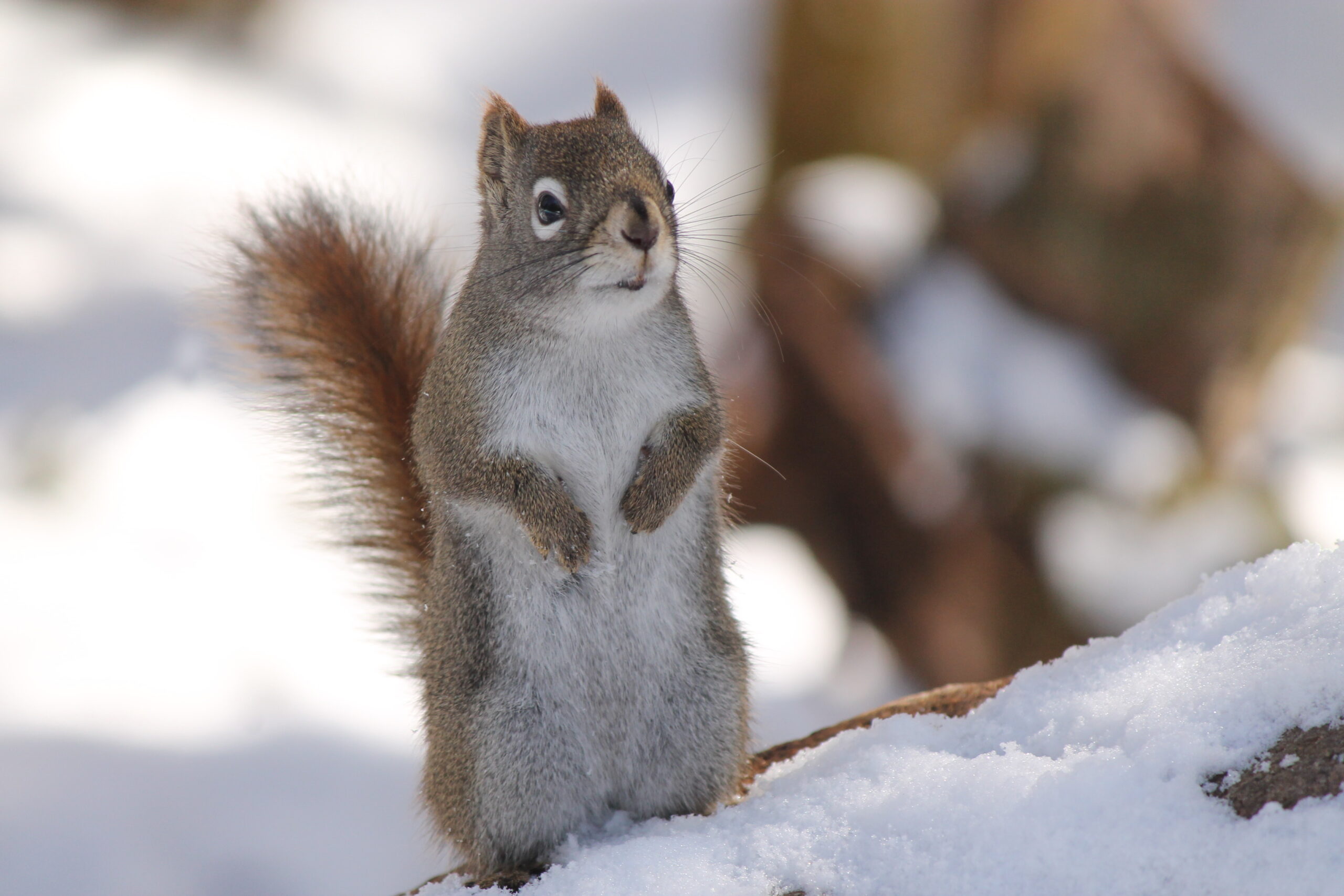 Main Gallery Display