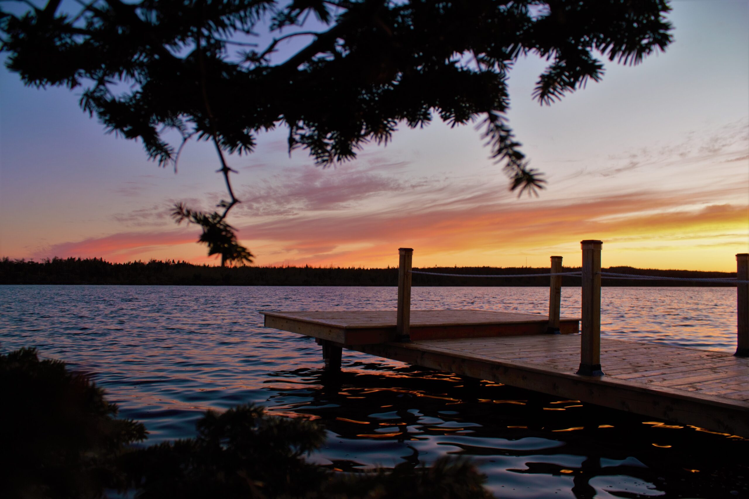 Main Gallery Display