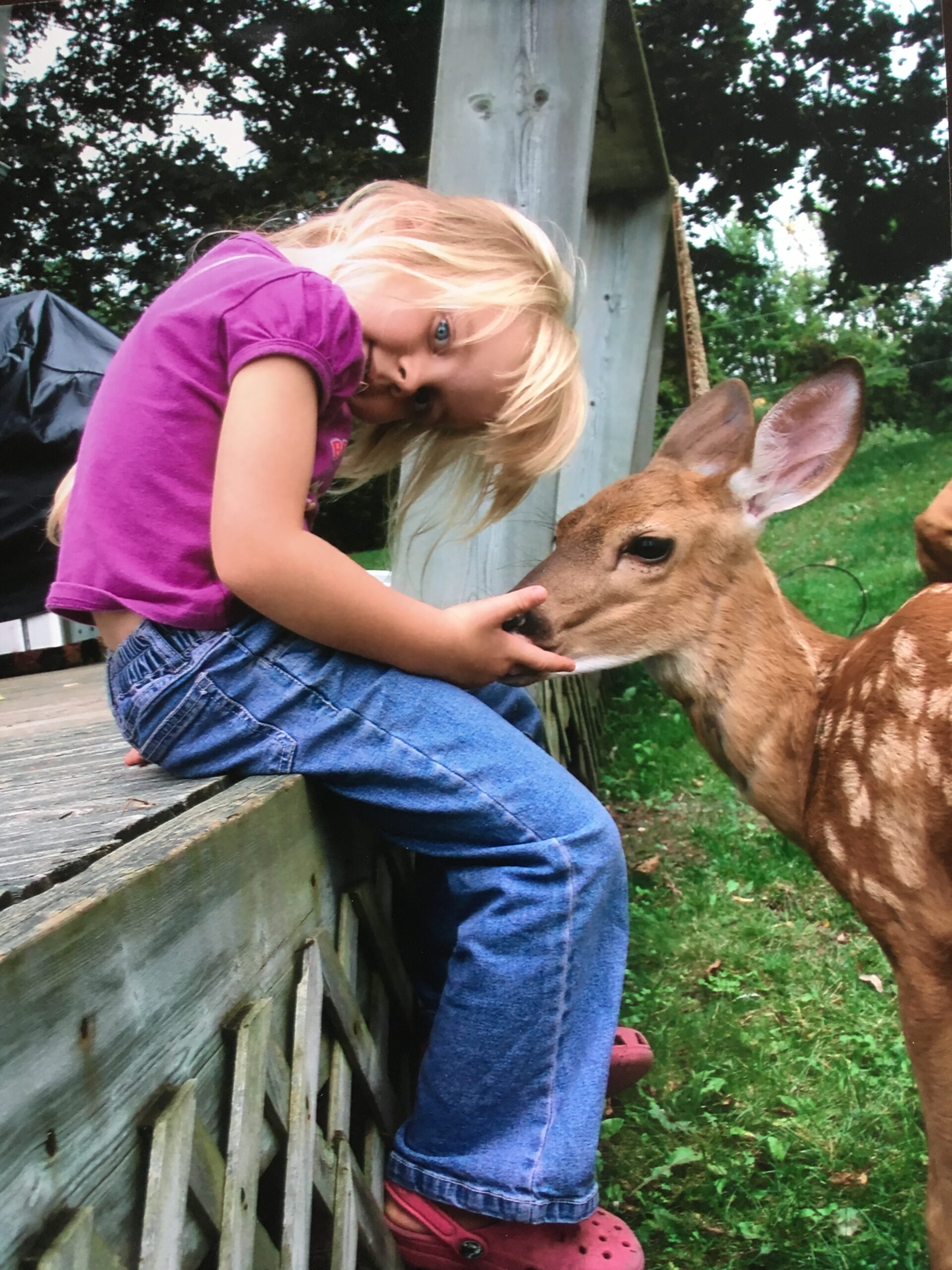 Main Gallery Display