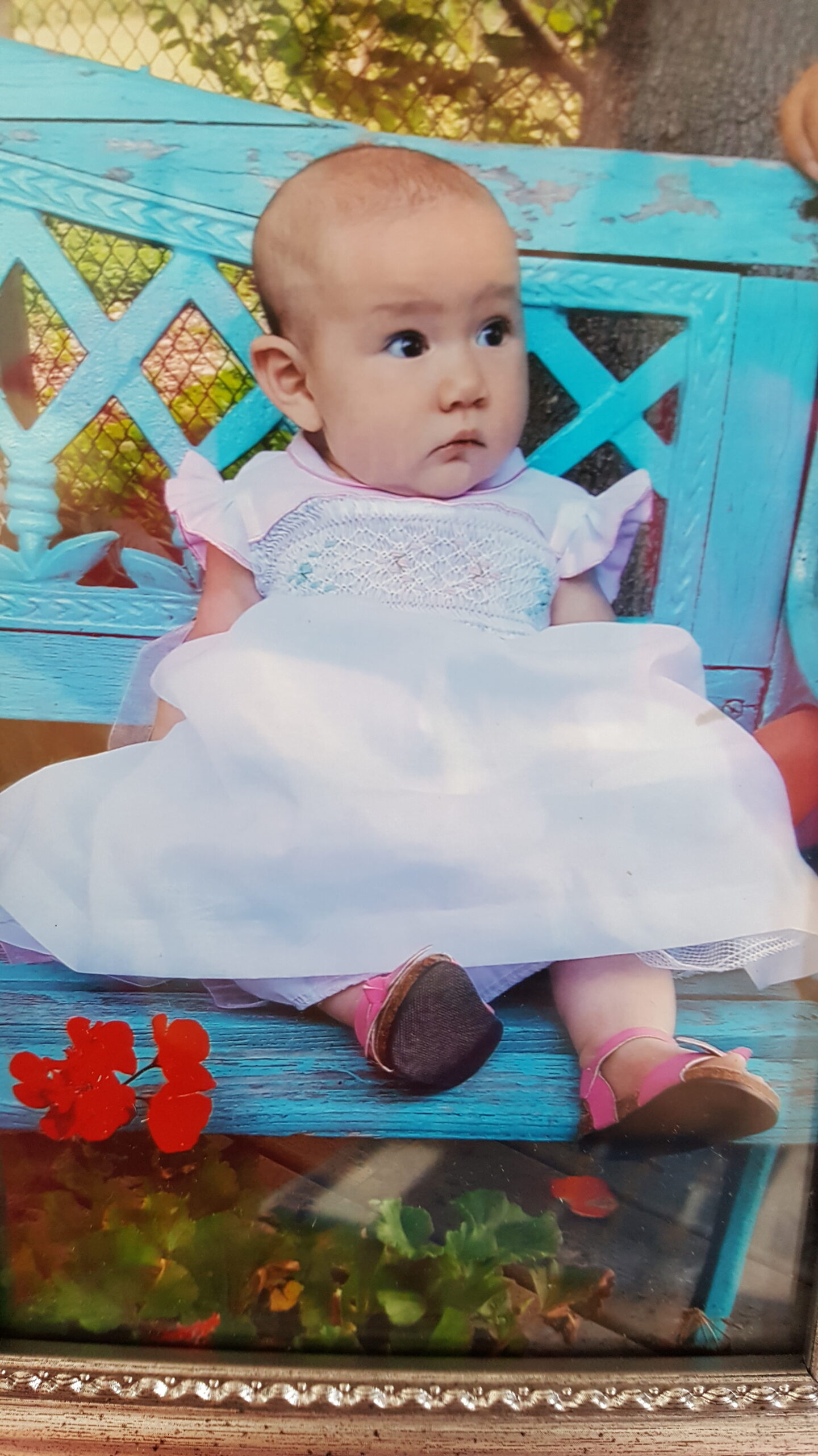 Main Gallery Display