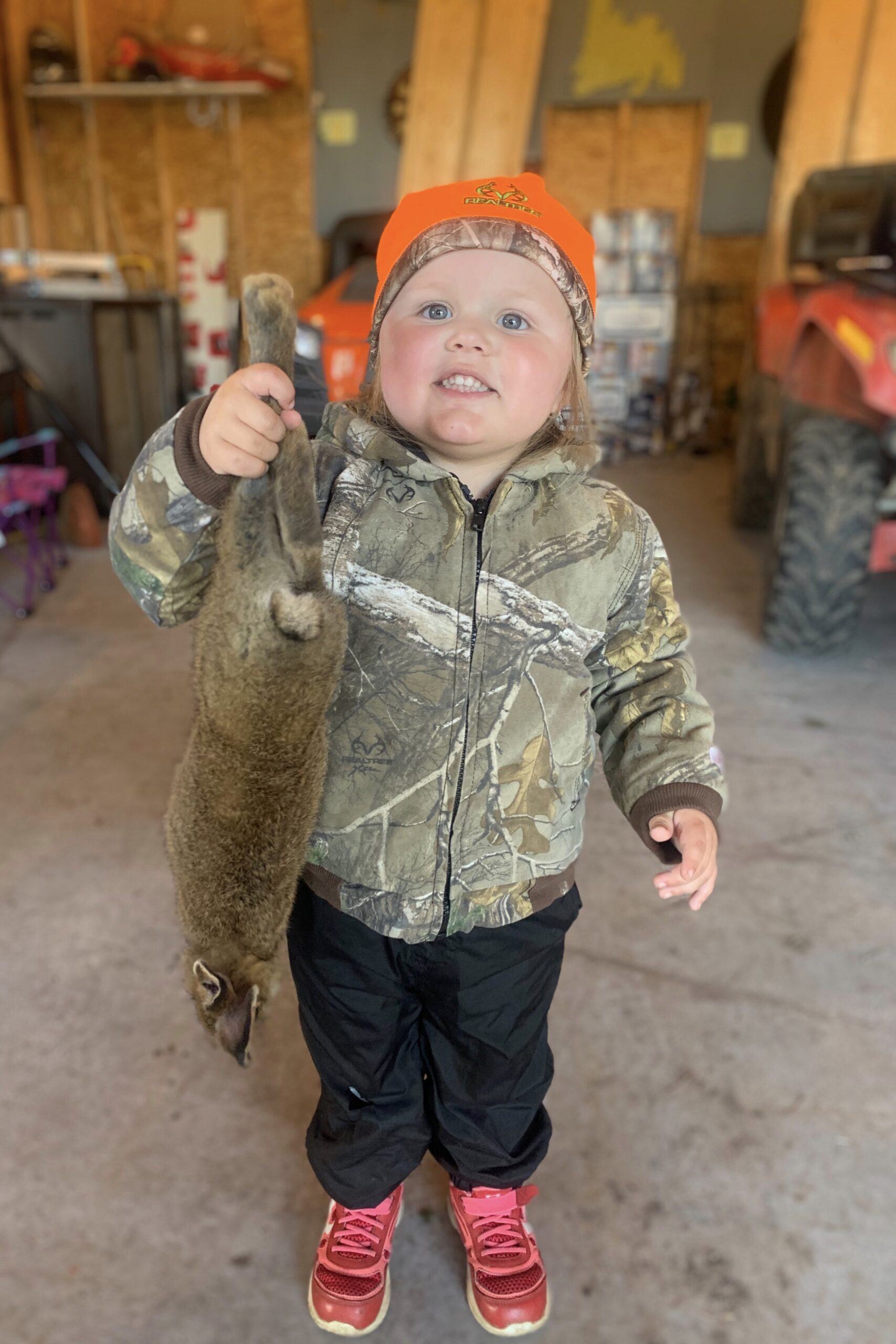 Main Gallery Display