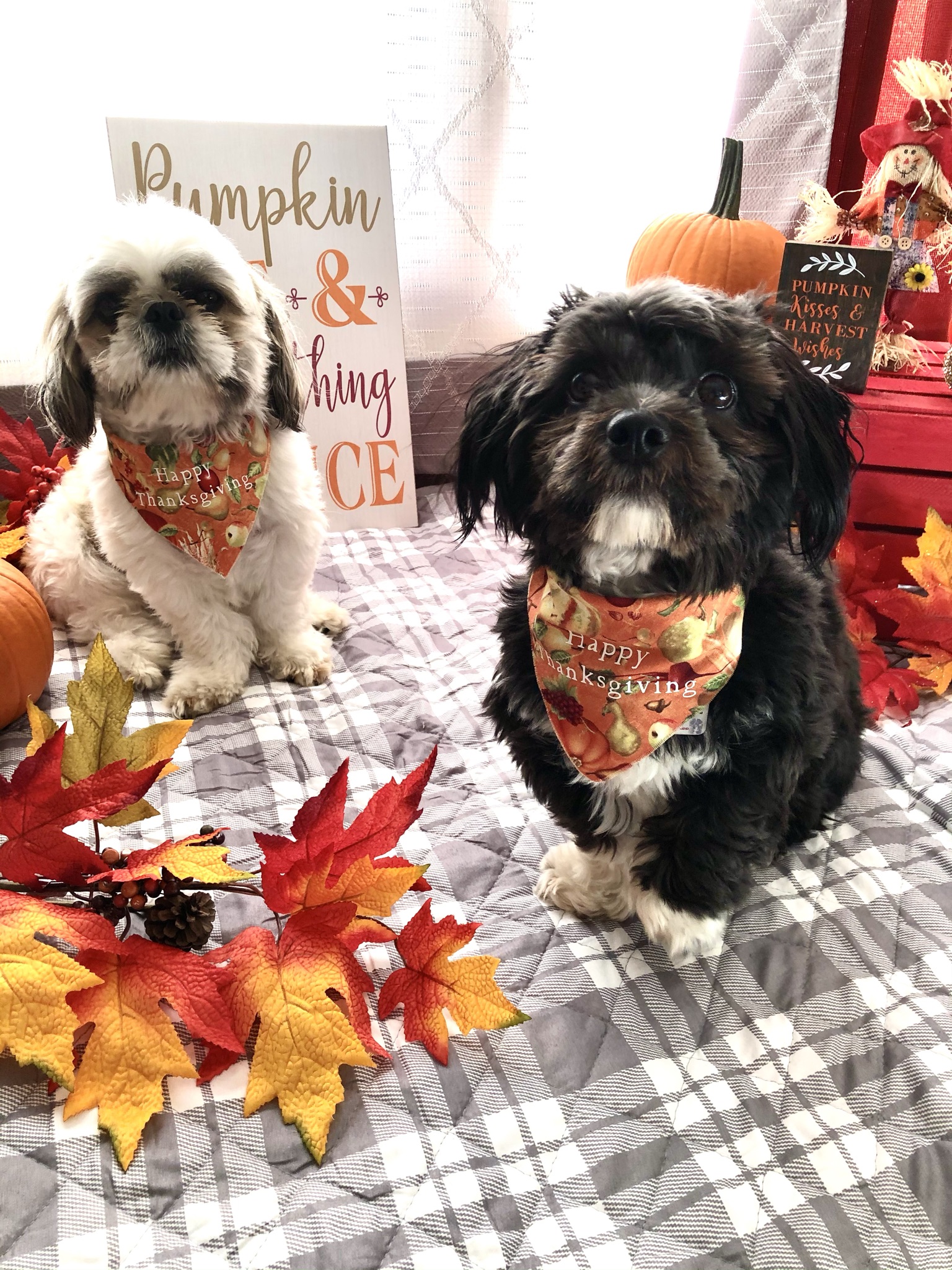 Main Gallery Display