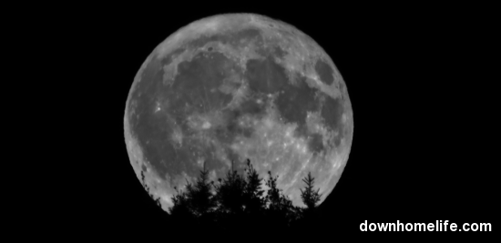 Main Gallery Display