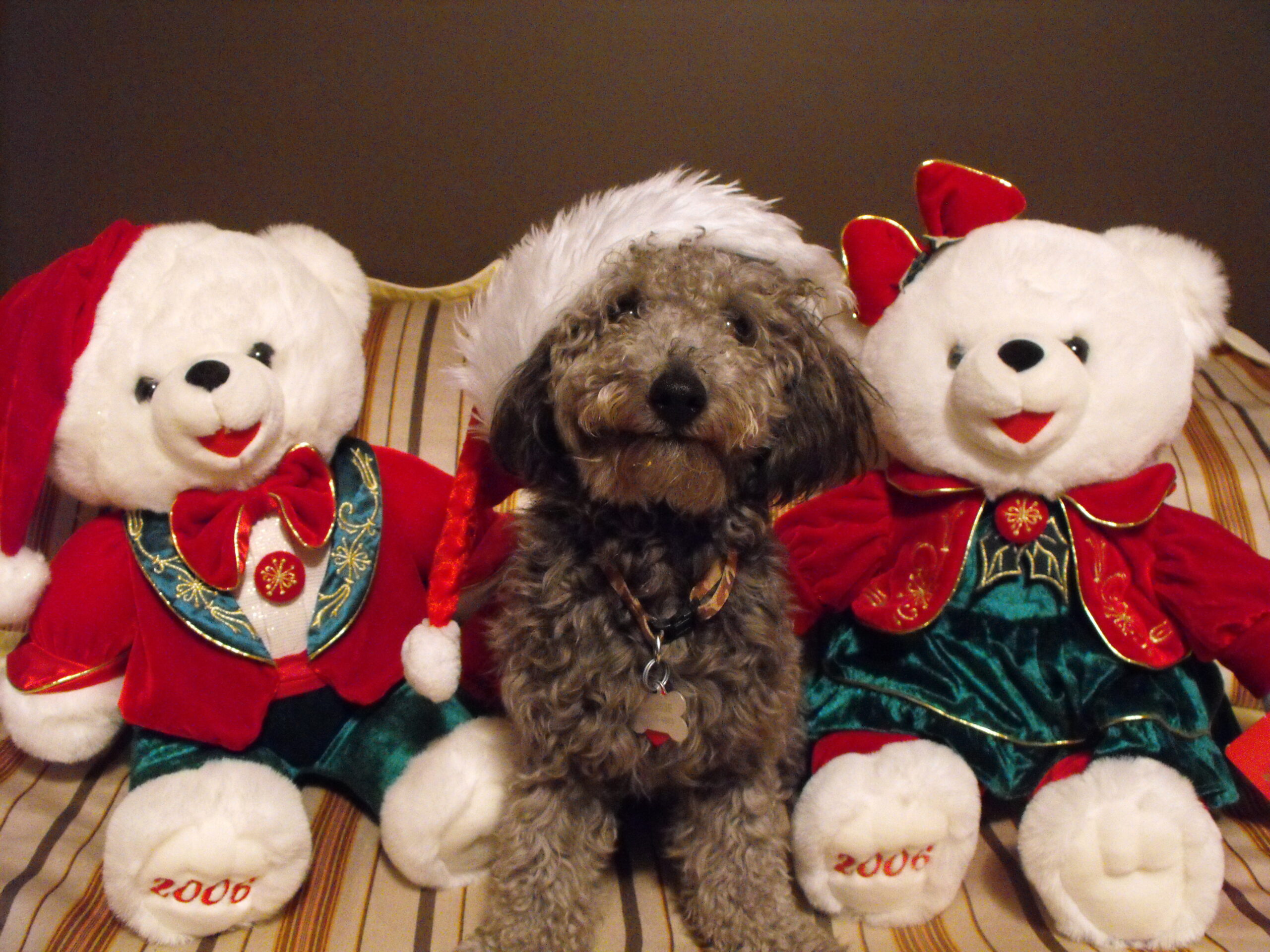 Main Gallery Display