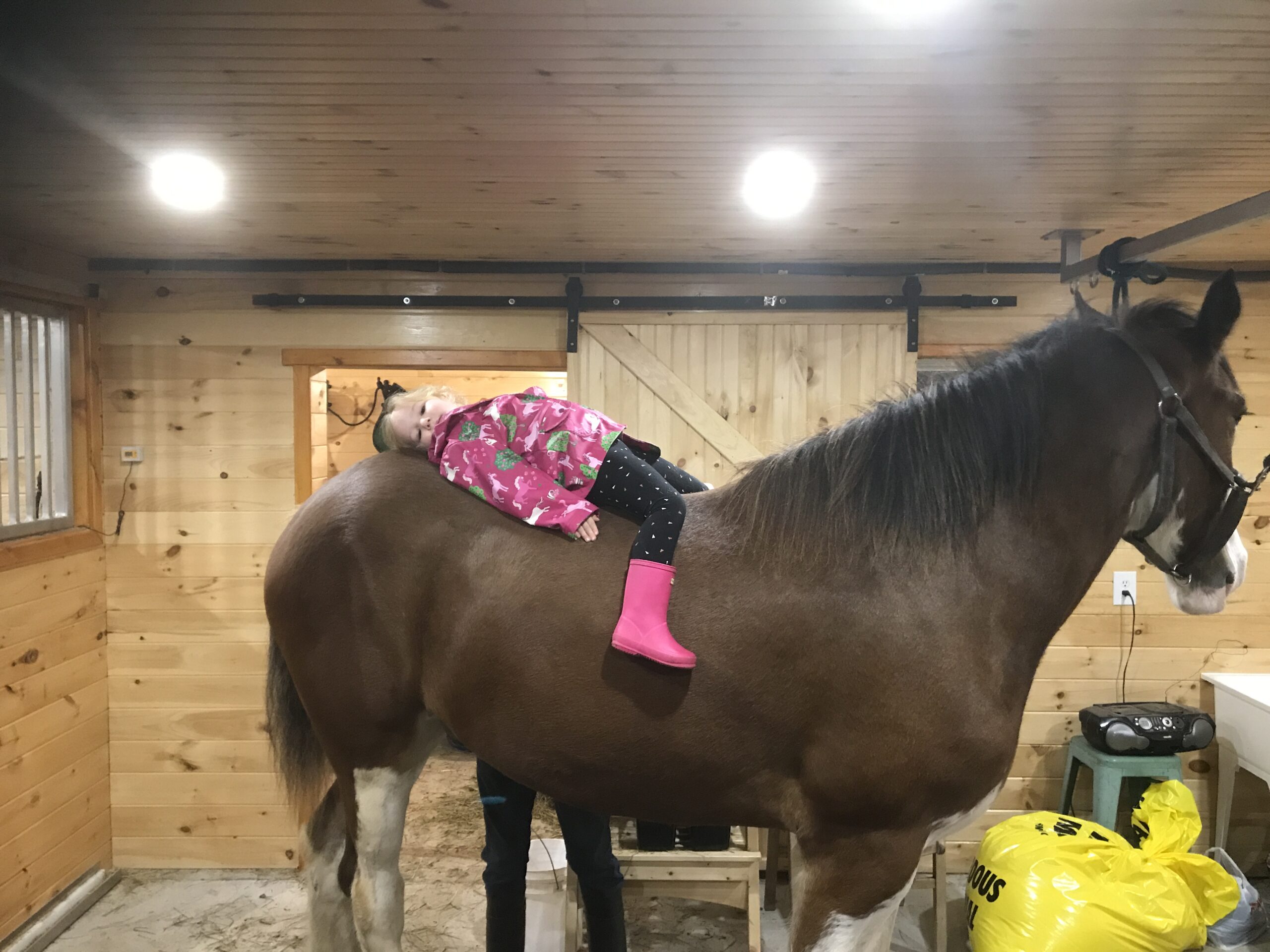 Main Gallery Display