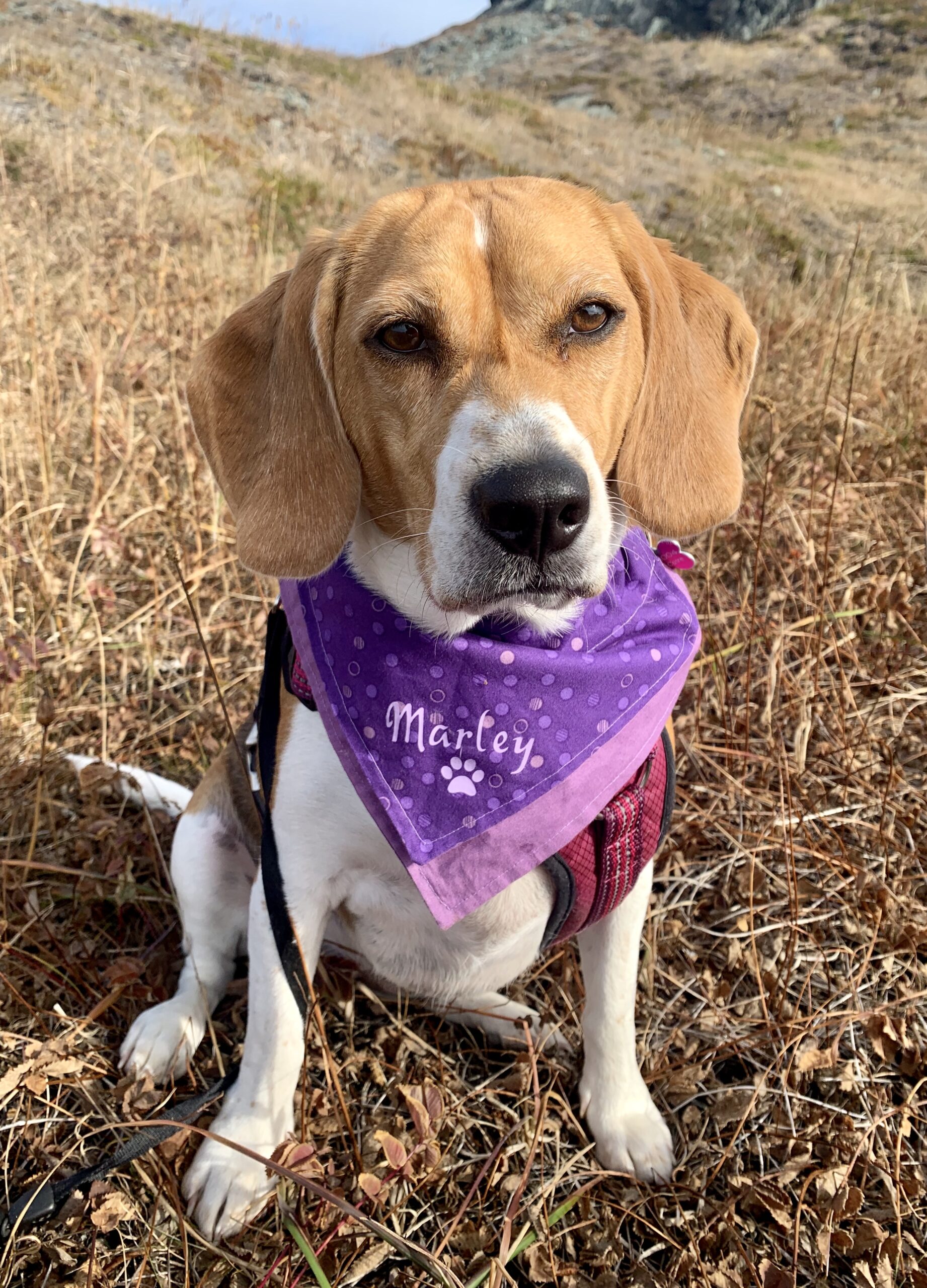 Main Gallery Display