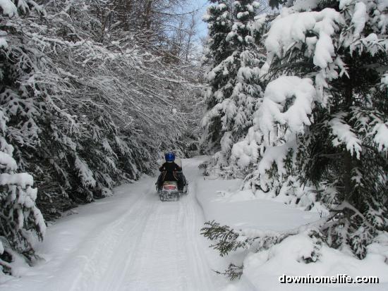 Main Gallery Display