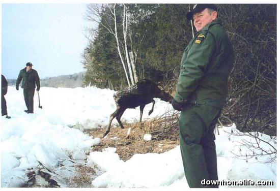 Main Gallery Display