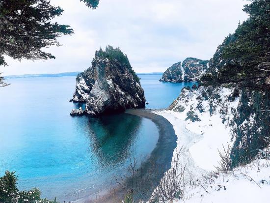 Main Gallery Display