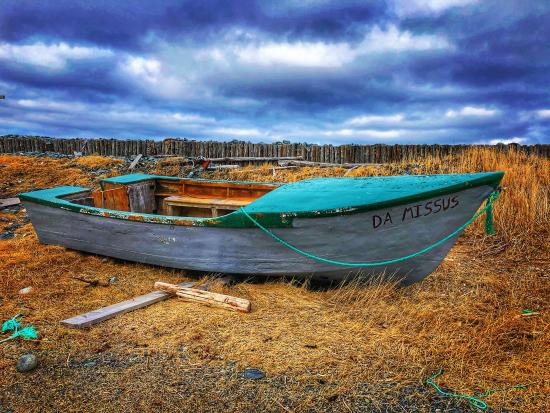 Main Gallery Display