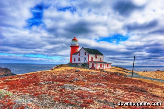 Main Gallery Display
