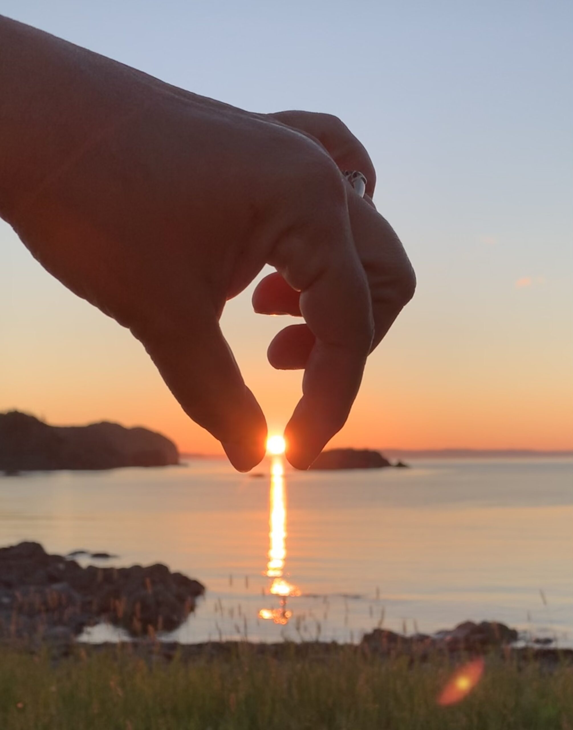 Main Gallery Display