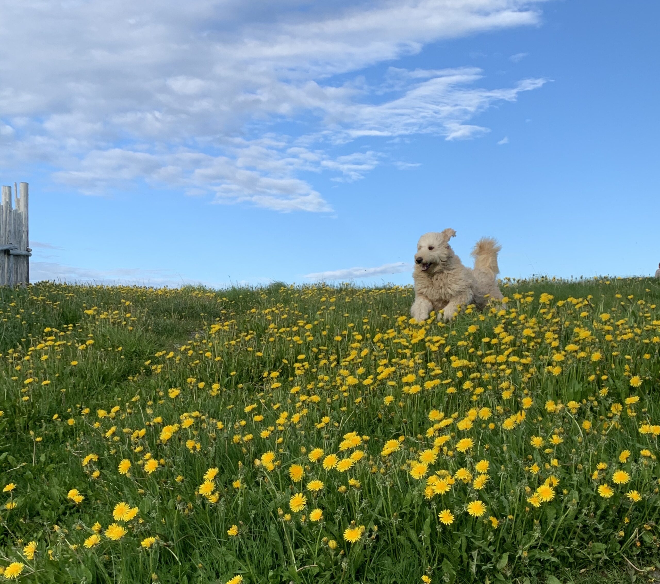 Main Gallery Display