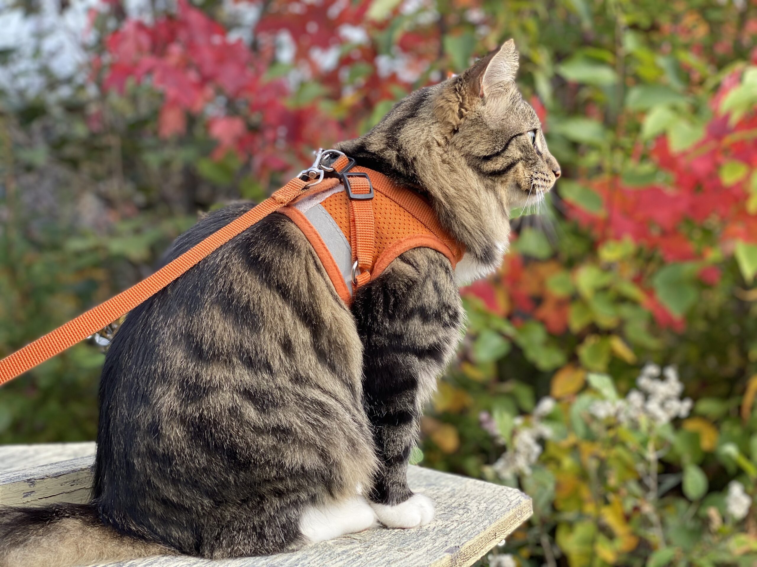 Main Gallery Display