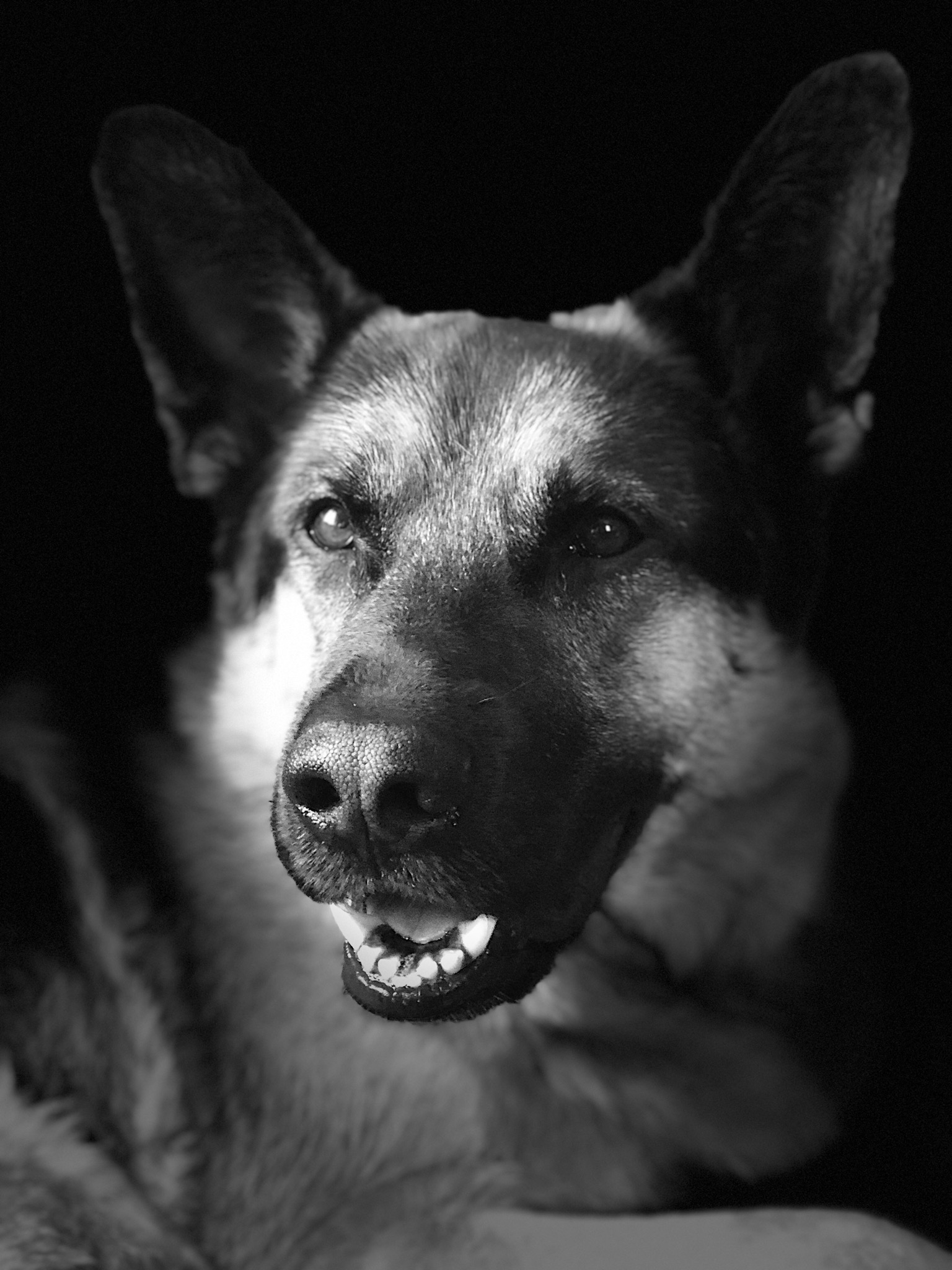 Main Gallery Display