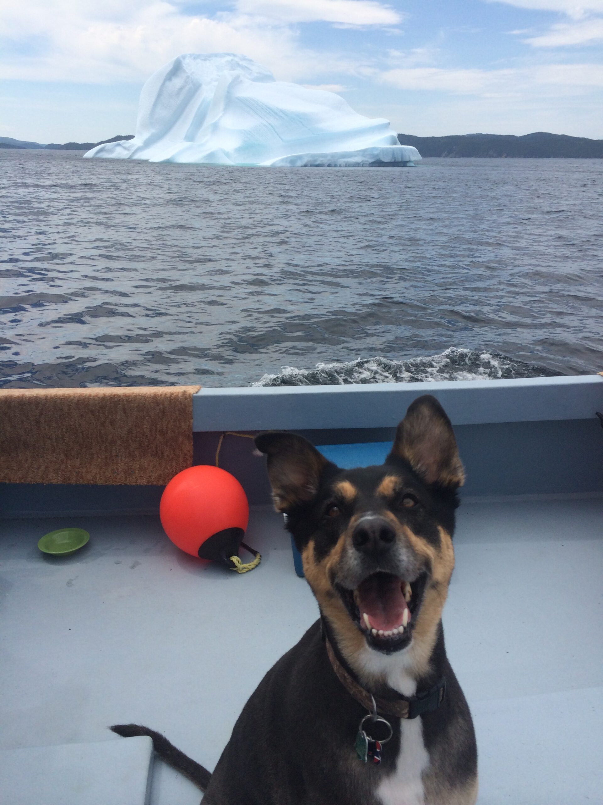 Main Gallery Display